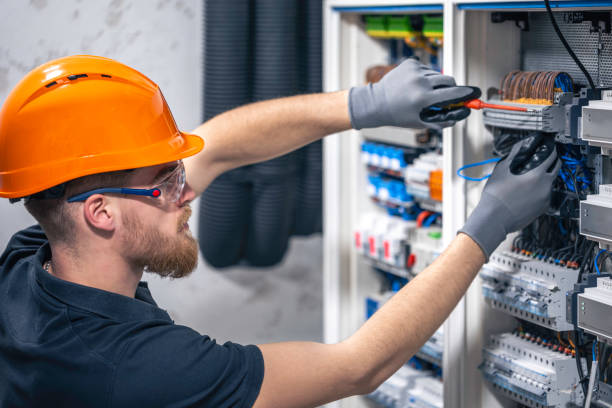 Best Electric Panel Repair  in Palmer, TX